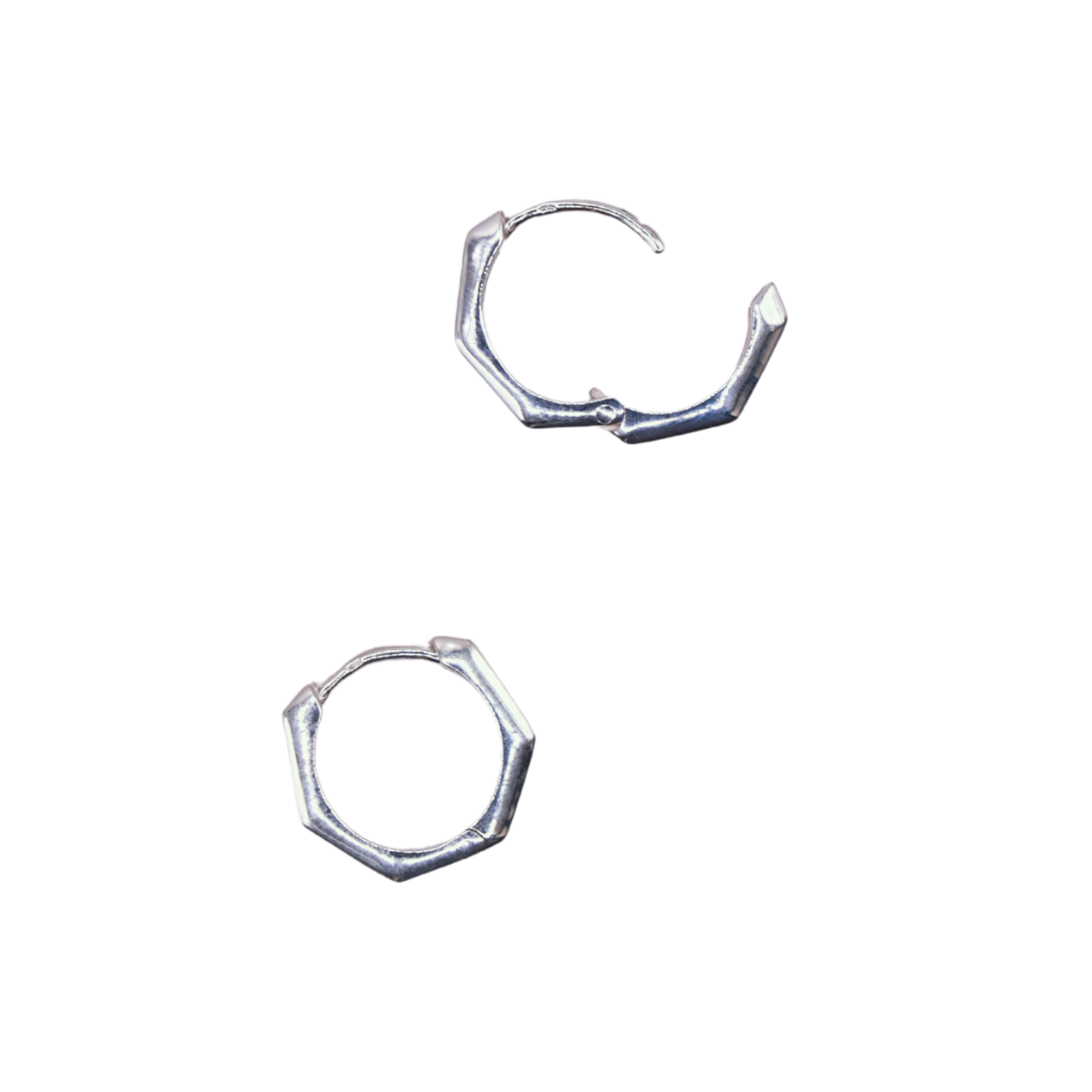 Aerin Hoops